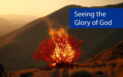 Seeing the Glory of God